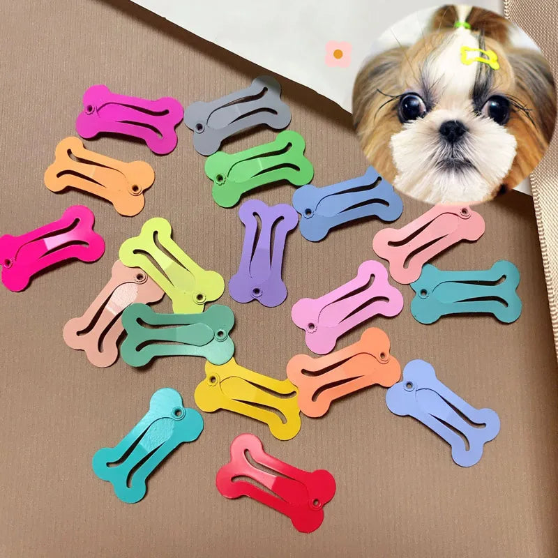 5Pcs/lot Cute Dog Hairpin Colorful Bone Shape Hairpin Pet Small Dogs Hair Clips for Chihuahua Pug Grooming Dog Accessories - The Urban Blasts Ltd