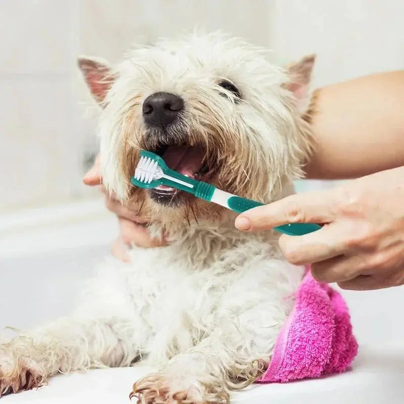 3 - Sided Pet Toothbrush Dog Plastic Toothbrush Removing Bad Breath Tartar Cleaning Mouth Pet Dental Care Cat Cleaning Mouth - The Urban Blasts Ltd