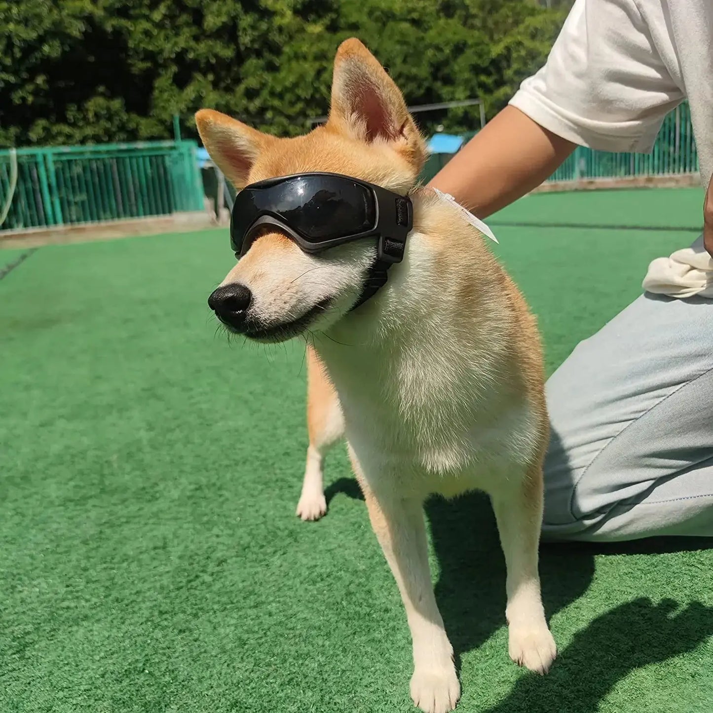 Pet Accessories Dog Outdoor UV Protection Sunglasses Cat Dog Goggles for Small Medium Breed Puppy Glasses Adjustable Straps - The Urban Blasts Ltd