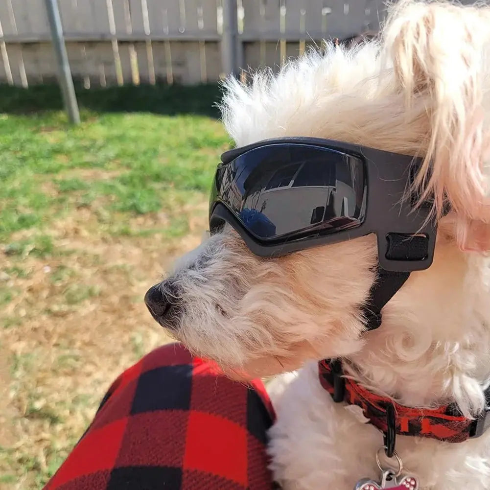 Pet Accessories Dog Outdoor UV Protection Sunglasses Cat Dog Goggles for Small Medium Breed Puppy Glasses Adjustable Straps - The Urban Blasts Ltd