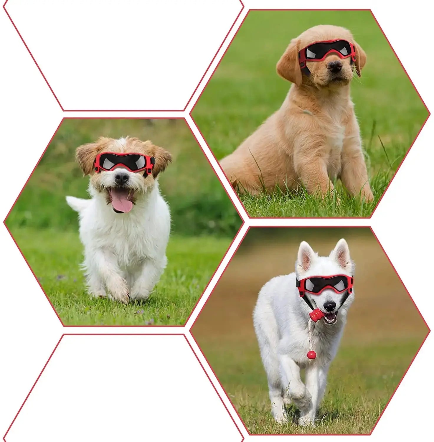 Pet Accessories Dog Outdoor UV Protection Sunglasses Cat Dog Goggles for Small Medium Breed Puppy Glasses Adjustable Straps - The Urban Blasts Ltd