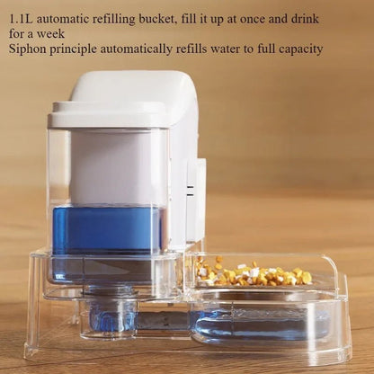 Cat Bowl Automatic Feeder Small Cats Food Bowls Large Capacity Water Dispenser To Prevent Tipping Over Pet Bowls Dog Double Bowl - The Urban Blasts Ltd