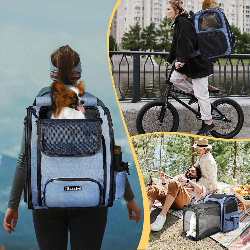 Pet Backpack Expandable Foldable Cat Carrier for Small Medium Dog and Cat Transport Dog Bag Large Space Pets Carrier with Zipper - The Urban Blasts Ltd