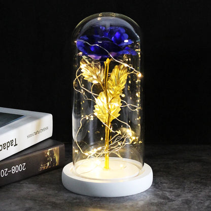 LED Night Light Rose In Flask Glass For Valentines and Mother's day