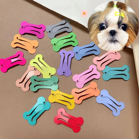 5Pcs/lot Cute Dog Hairpin Colorful Bone Shape Hairpin Pet Small Dogs Hair Clips for Chihuahua Pug Grooming Dog Accessories - The Urban Blasts Ltd