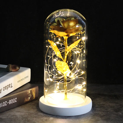 LED Night Light Rose In Flask Glass For Valentines and Mother's day